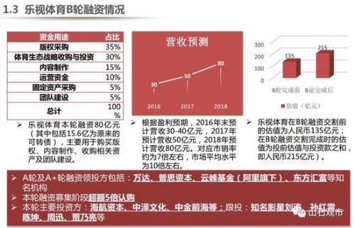 贾跃亭融资计划书曝光：看他如何靠两份PPT融资