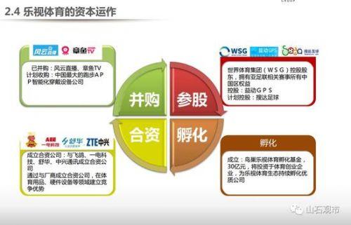 贾跃亭融资计划书曝光：看他如何靠两份PPT融资