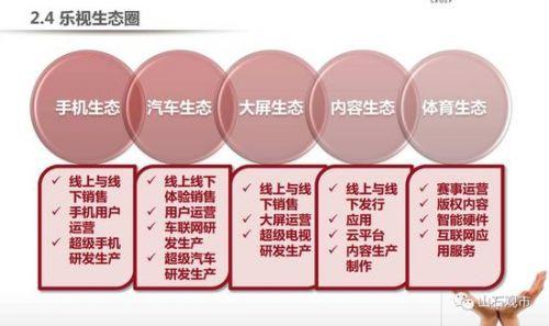 贾跃亭融资计划书曝光：看他如何靠两份PPT融资