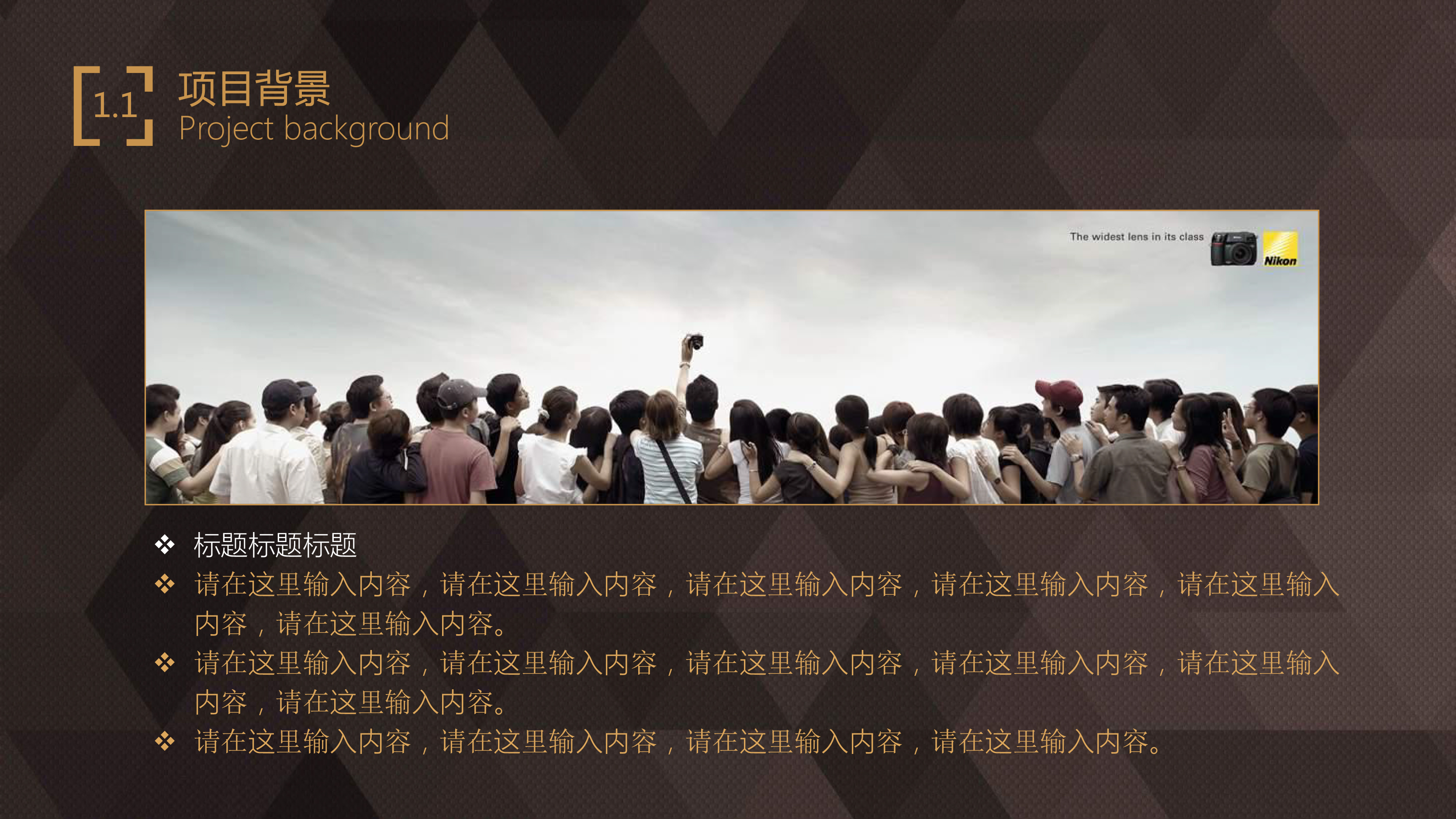 轻奢大气企业商业计划书