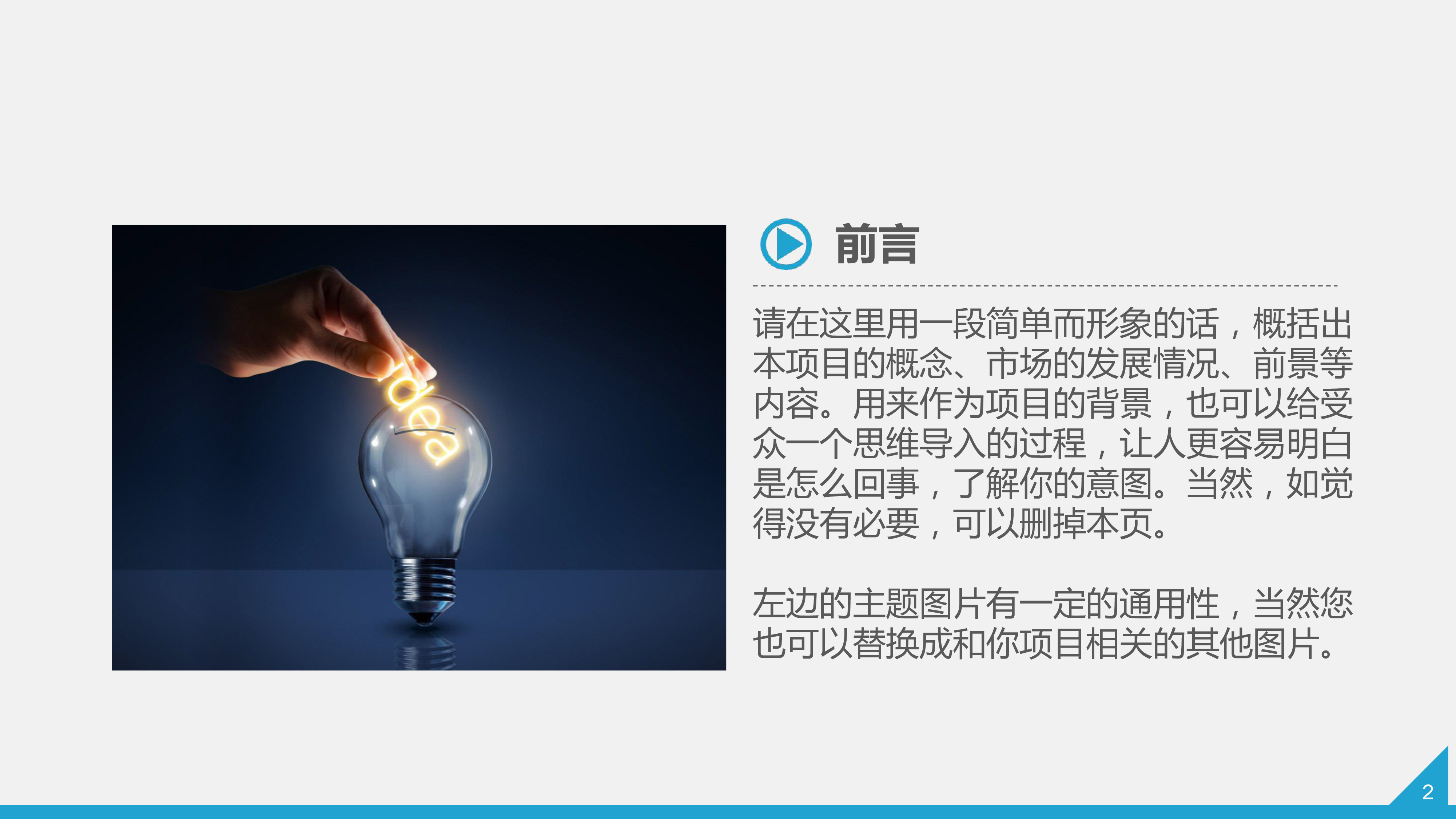 蓝色互联网平台项目计划书模板