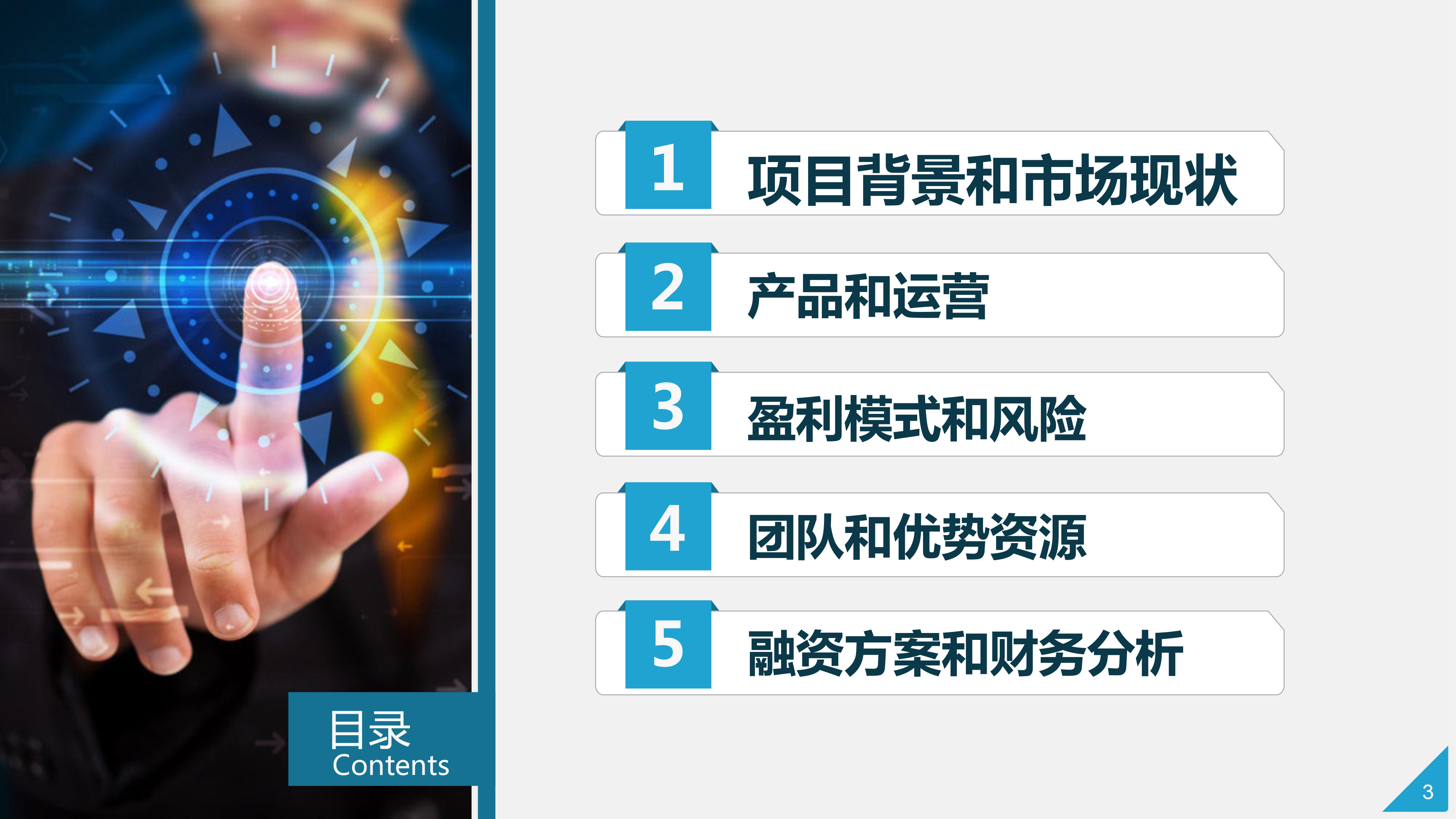 蓝色互联网平台项目计划书模板