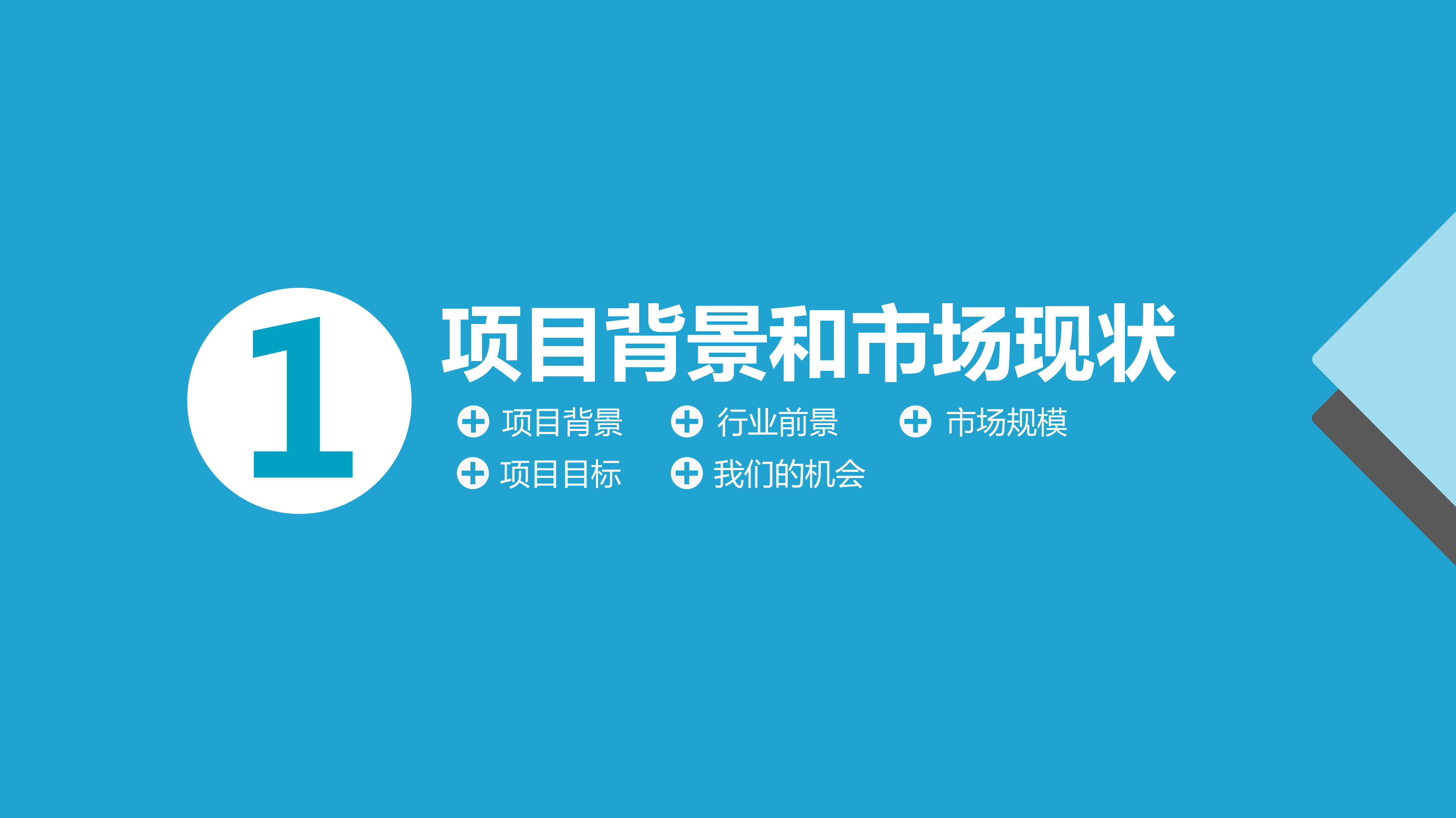 蓝色互联网平台项目计划书模板