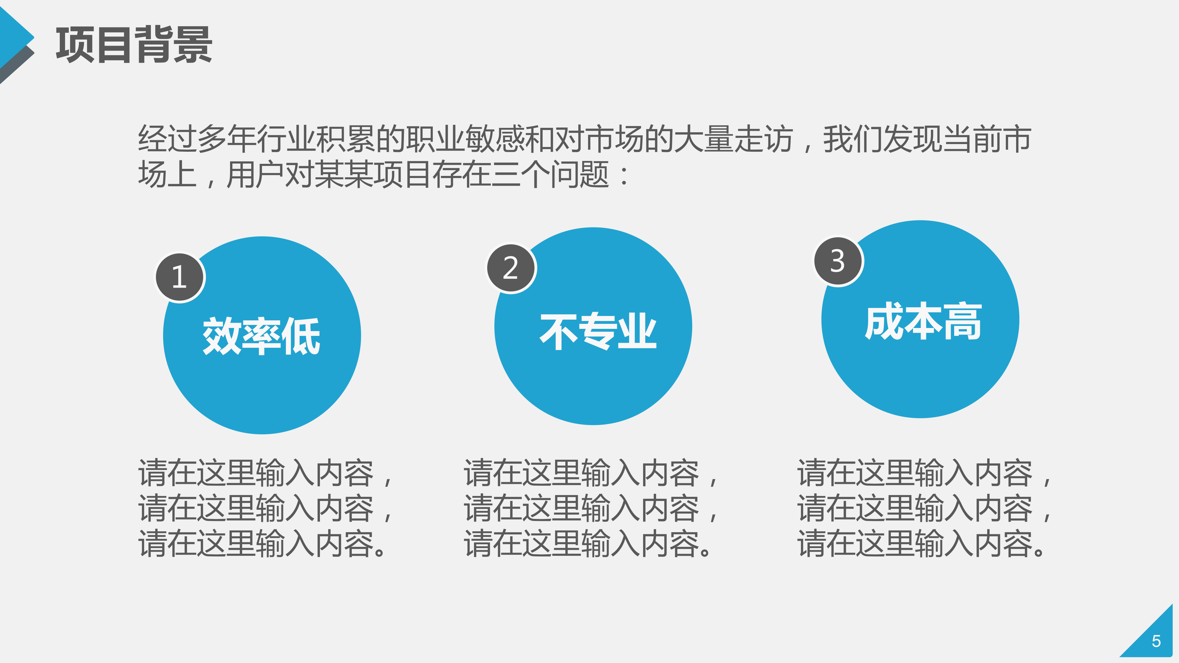 蓝色互联网平台项目计划书模板