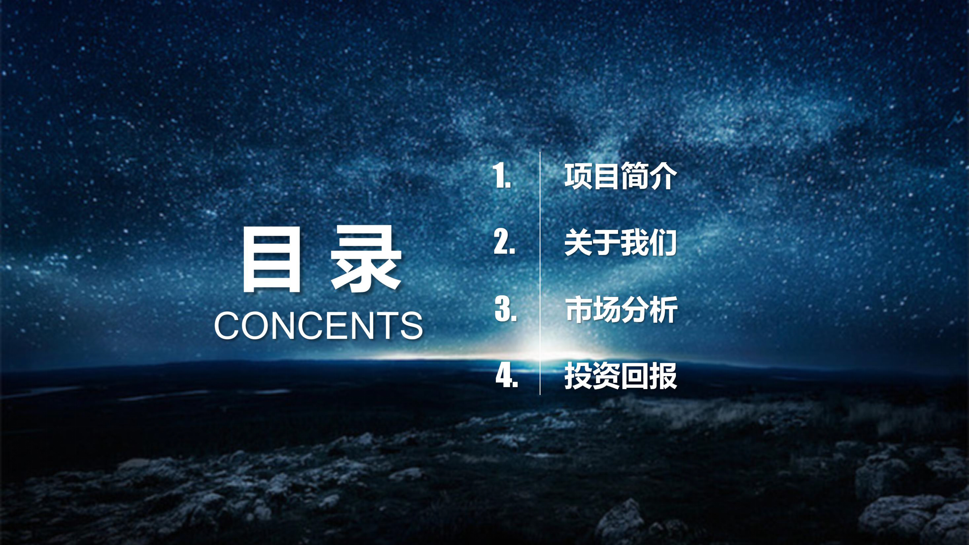 商业投资项目计划书