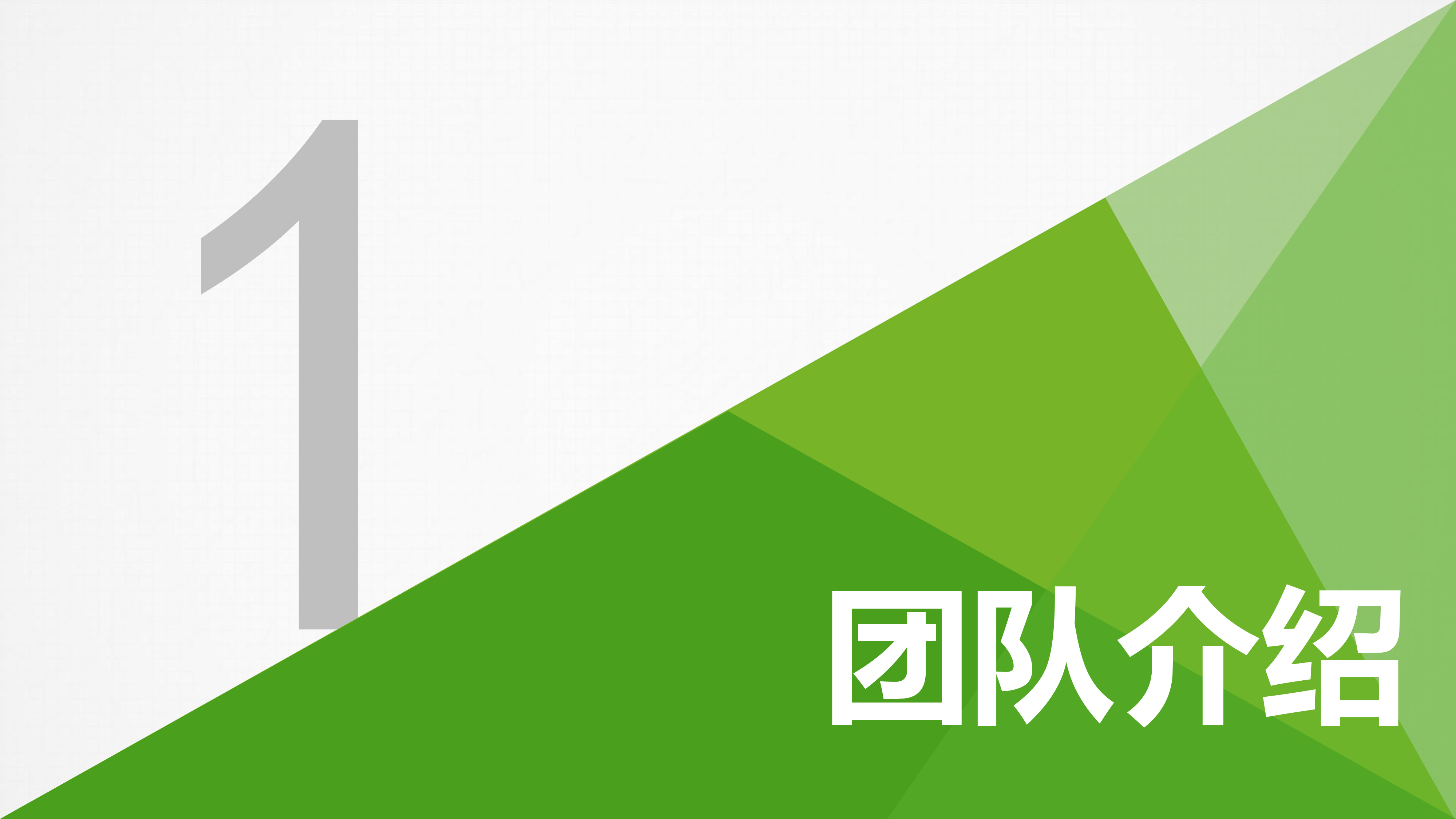 绿色初创企业计划书模板