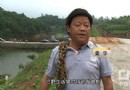 [生财有道]甲鱼大王荣华：养殖甲鱼实现财富剧变