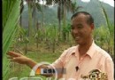 梁焕林：白鹭飞鲤鱼肥生态村里巧赚钱