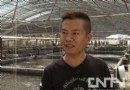 林拱辉：鲍鱼养殖高手的养殖经