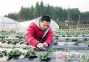 吴书柱，大学生种蔬菜打造农业品牌